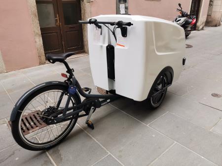 Dostavna e-kolesa  (20)